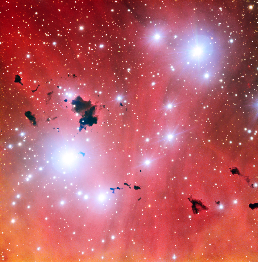 A spectacular nursery of stars: IC 2944