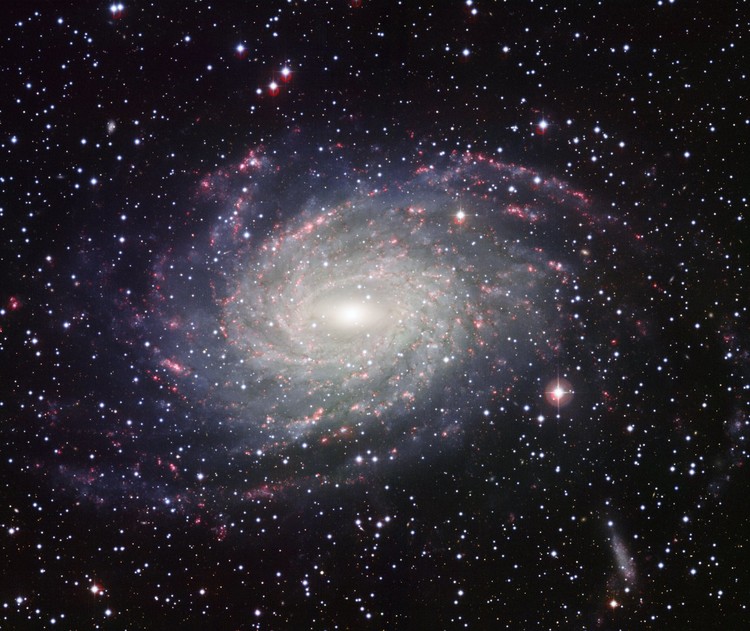 NGC 6744, une galaxie très ressemblante à la Voie Lactée – droits : ESO